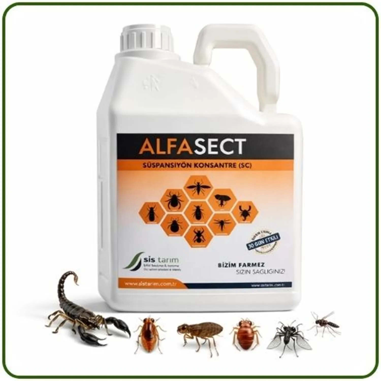Alfa Sect SC Kokusuz Haşere Öldürücü | 5 Litre