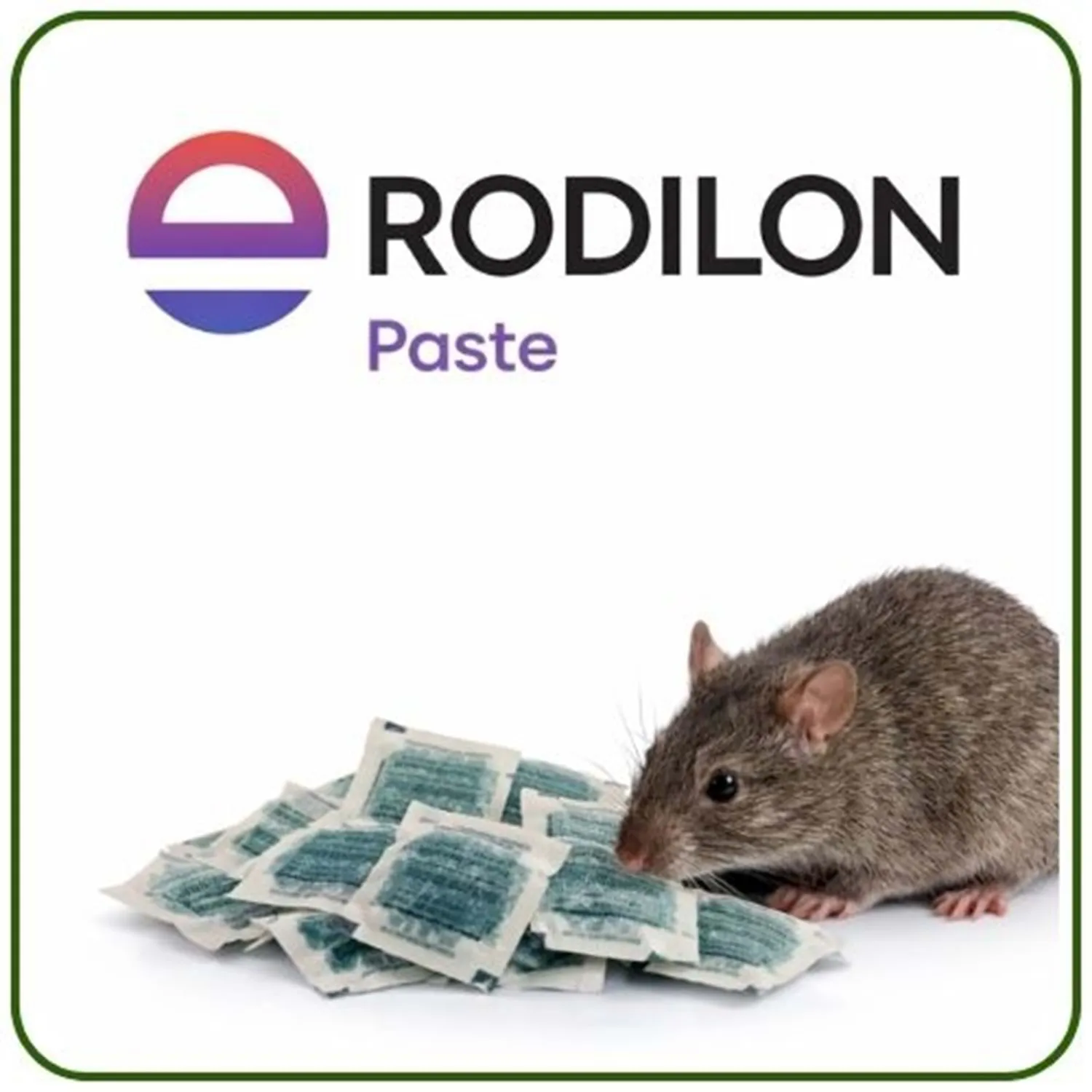 Bayer-Envu Rodilon Pasta Fare Zehiri | 1 Kg