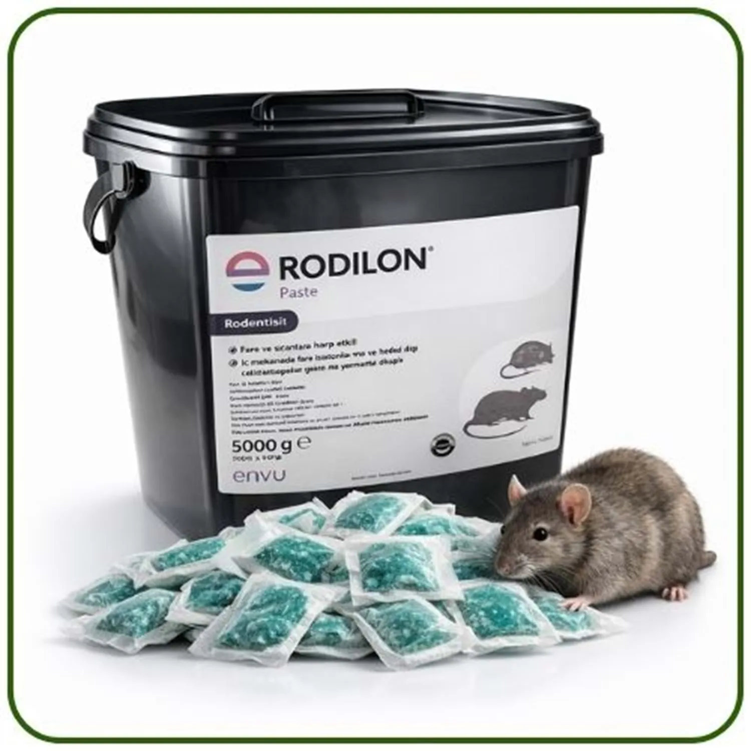 Bayer-Envu Rodilon Pasta Fare Zehiri | 5 Kg