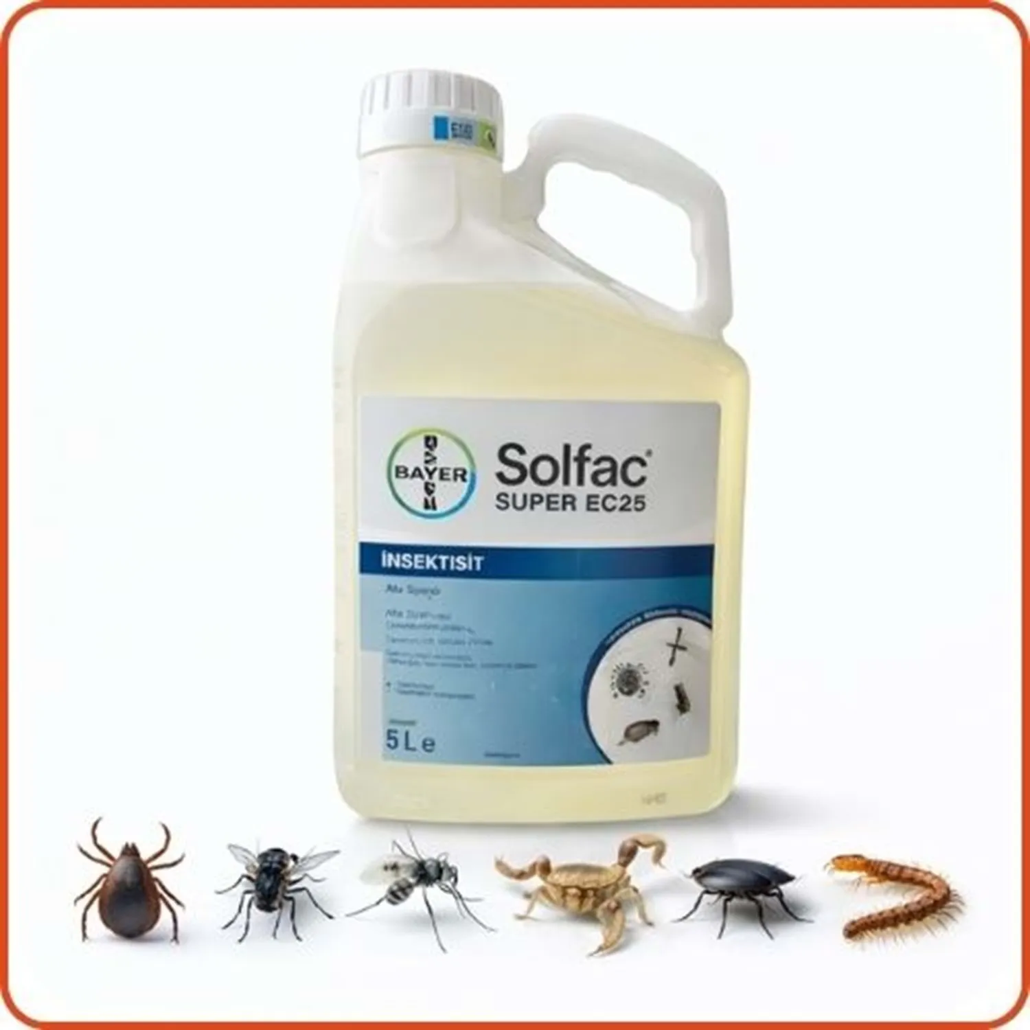 Bayer-Envu Solfac Süper EC 25 Kokulu Haşere Öldürücü | 5 Litre