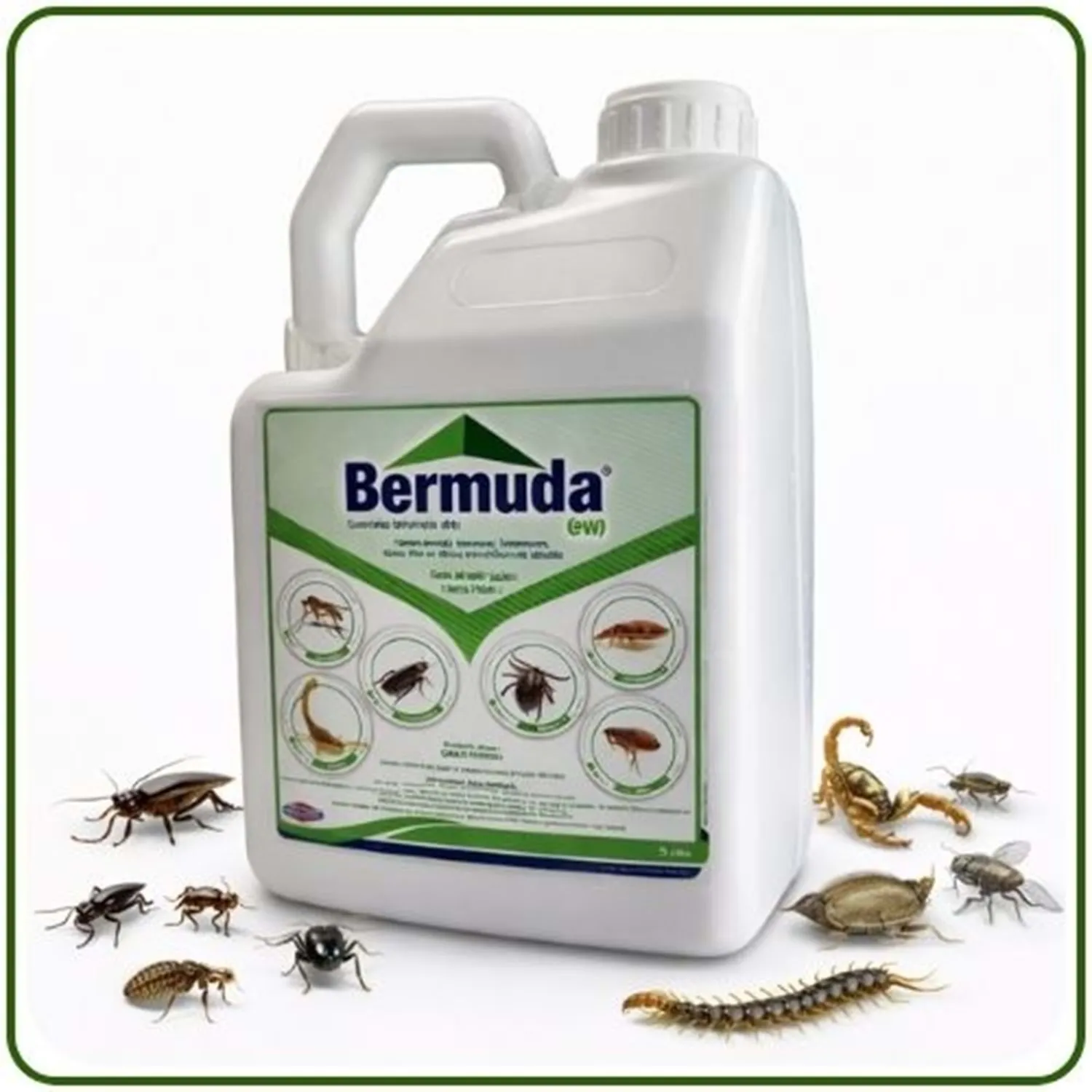 Bermuda EW Kokulu Haşere Öldürücü | 5 Litre
