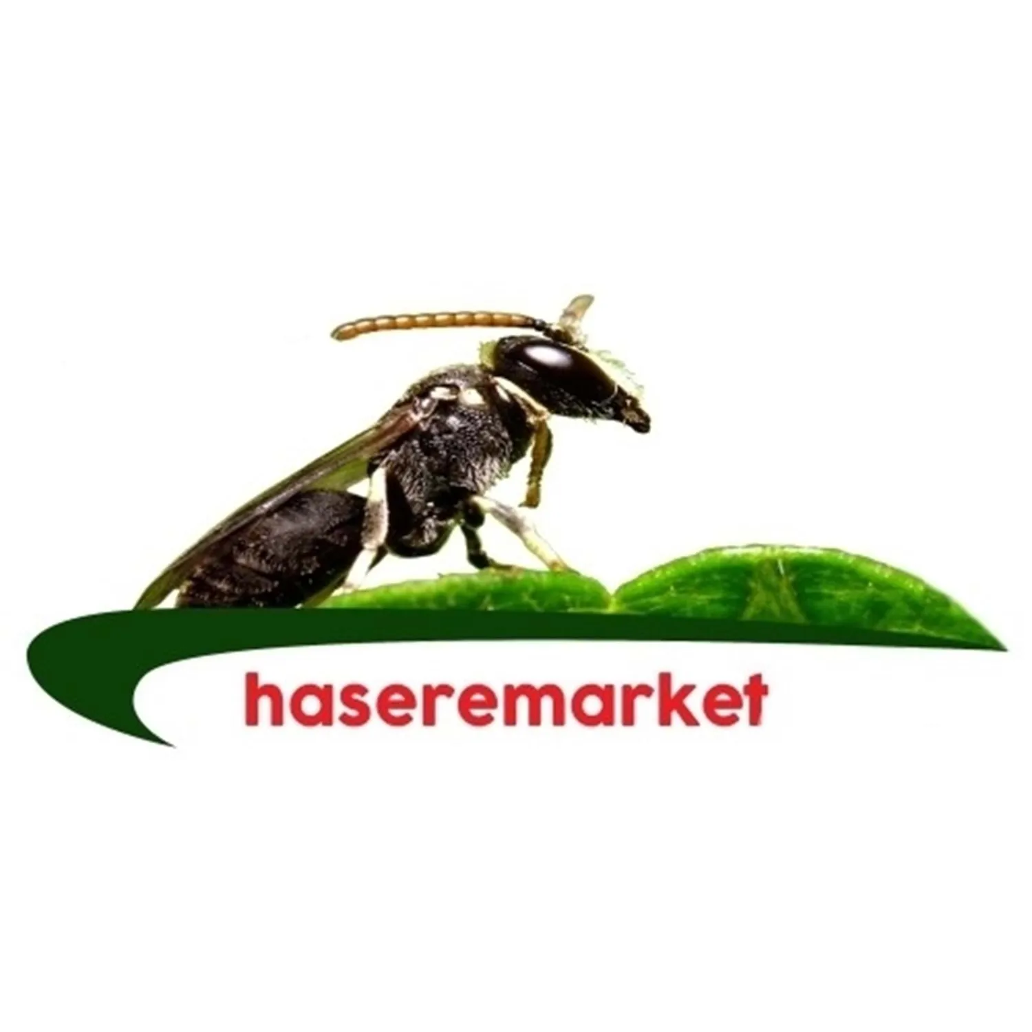 Dinovek 12 SC Karasinek İlacı | 5 Litre