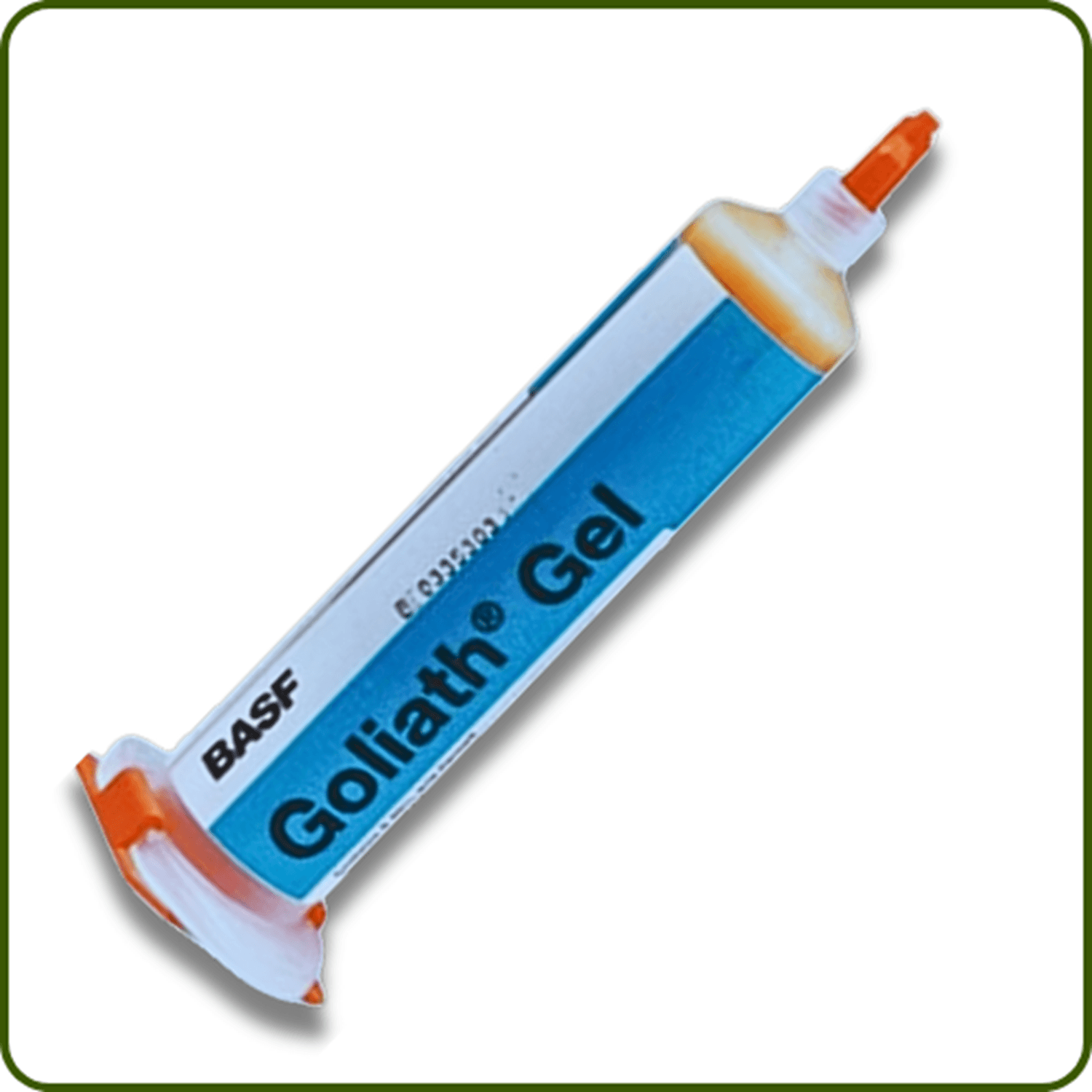 Goliath Hamamböceği Kaloriferböceği Jel Yem | 35 Gram